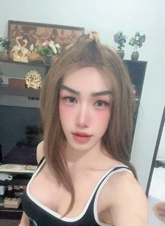 I'm Ammy Lady Boy from Thailand - Transsexual escort in Muscat Photo 7 of 14