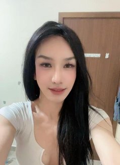 I'm Ammy Lady Boy from Thailand - Transsexual escort in Muscat Photo 14 of 14