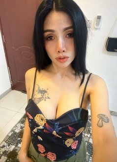 My Name Is Cookie - escort in Muscat Photo 5 of 10