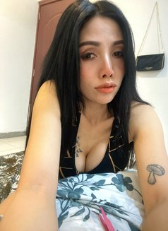 My Name Is Cookie - escort in Muscat Photo 6 of 10