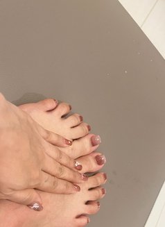 My Name Is Cookie - puta in Muscat Photo 10 of 13