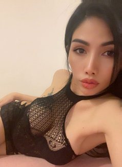 My Name Is Cookie - escort in Muscat Photo 11 of 19