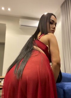 My Name Opor New - Transsexual escort in Ajmān Photo 5 of 5