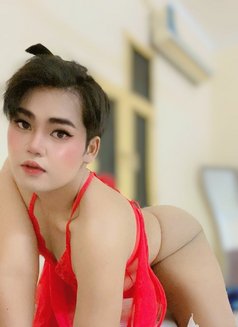 My Suga - Transsexual escort in Al Sohar Photo 4 of 4