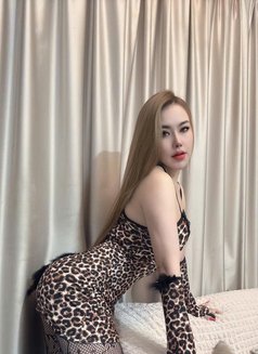 Mye Full Services Beautiful Girl - puta in Abu Dhabi Photo 3 of 12