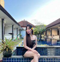 Mylinee Sexbrutal Beautyful Asia/chenise - escort in Bali