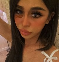 Myra VIP Thailand ladyboy - Transsexual escort in Bangkok