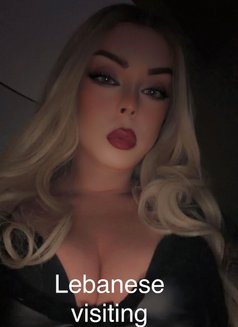 اللبنانية MYRIAM is back! Have poppers - Acompañantes transexual in İstanbul Photo 19 of 19