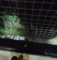 Mysteryguy - Male escort in Bangalore