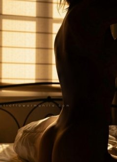 Mysticflower Sapiosexual Courtesan - escort in Manila Photo 23 of 23