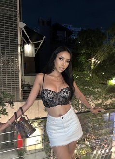 Gigi Thai Big cum - Transsexual escort in Bangkok Photo 13 of 30