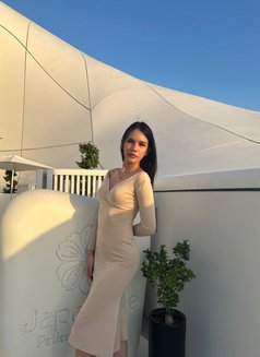 Nabee Big - Acompañantes transexual in Abu Dhabi Photo 8 of 9