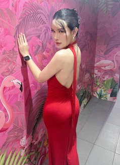 Nabee Th - Transsexual escort in Abu Dhabi Photo 8 of 8