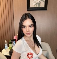 Nabee Big - Transsexual escort in Abu Dhabi