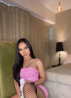 Nabi Ladyboy In downtown (Good Service ) - Acompañantes transexual in Dubai Photo 13 of 21