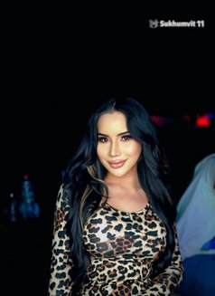 Nabi Ladyboy In downtown - Transsexual escort in Dubai Photo 15 of 21