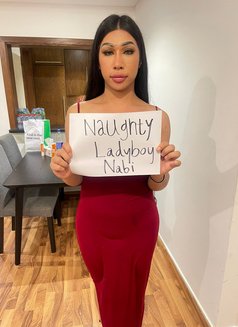 Nabi Ladyboy In downtown - Acompañantes transexual in Dubai Photo 1 of 13