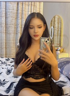Nabi Ladyboy – Irresistible Temptation  - Transsexual escort in Dubai Photo 15 of 22