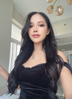 Nabi Ladyboy – Irresistible Temptation  - Transsexual escort in Dubai Photo 18 of 22