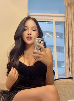 Nabi Ladyboy – Irresistible Temptation  - Transsexual escort in Dubai Photo 19 of 22