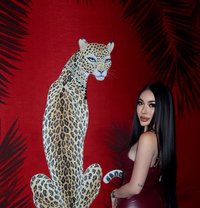 Nabi Ladyboy In downtown (Good Service ) - Transsexual escort in Dubai