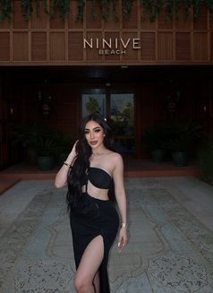 Nabi Ladyboy In downtown (Good Service ) - Transsexual escort in Dubai Photo 29 of 29