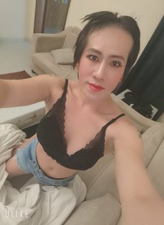 Nabi Ladyboy New in khobar - Transsexual escort in Khobar Photo 8 of 12