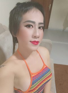 Nabi Ladyboy New in khobar - Transsexual escort in Khobar Photo 12 of 12