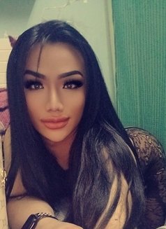 Nabi Nabi Ladyboy Top +Bottom - masseuse in Dubai Photo 1 of 5