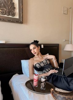 Nabibi Big Ass and Big Cook - Transsexual escort in Riyadh Photo 8 of 15