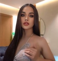 Julie 🇹🇭 - Transsexual escort in Jeddah