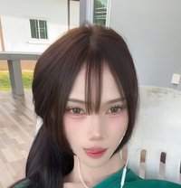 Nadear - Transsexual escort agency in Pattaya