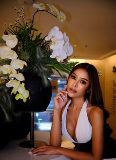 Nadia Juicy&Delicious - escort in Phuket Photo 25 of 28