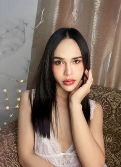 Nadia VIP Ladyboy from Thailand🇹🇭 - Acompañantes transexual in Muscat Photo 12 of 16