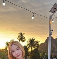 Nadia Ladyboy Pattaya - Male escort in Bangkok Photo 1 of 5