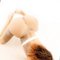 Nadia Mariya Thailand Mix Malaysia - escort in Riyadh Photo 4 of 12