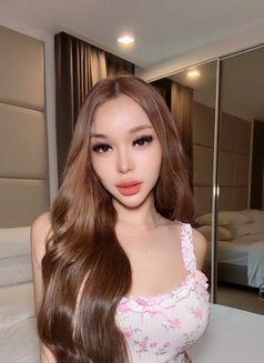 Full Package " Nadia " - escort in Taipei Photo 14 of 22