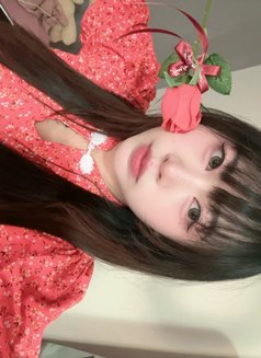 Nadia~ - escort in Bangkok Photo 12 of 12