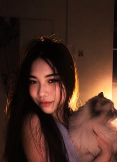 Nadia - puta in Dubai Photo 15 of 17