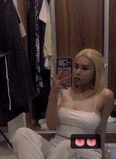 Nadia cute - companion in Khobar Photo 2 of 11