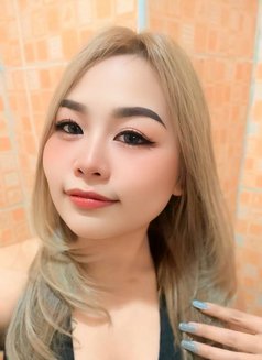 Nadia available - escort in Ko Samui Photo 1 of 4