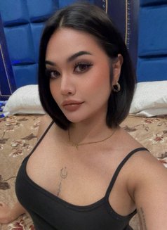 Nadia πΉππ²πΎ - escort in Phuket Photo 11 of 11