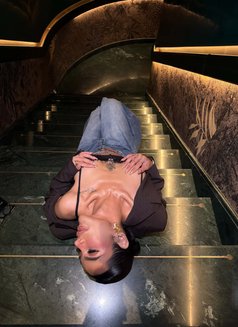 Nadia 🦋 Thailand 🇹🇭 - Acompañantes transexual in Abu Dhabi Photo 5 of 11