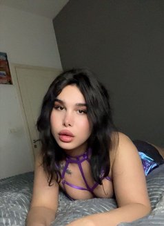 Nadin - Transsexual escort in Beirut Photo 14 of 18