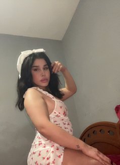 Nadin - Transsexual escort in Beirut Photo 22 of 23