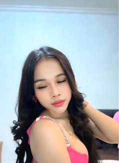 Nadin Lady boy Good Service - Transsexual escort in Bali Photo 11 of 12