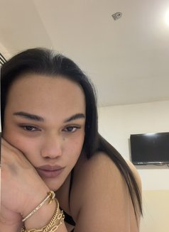 Nadine - Acompañantes transexual in Dubai Photo 1 of 15