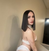 Nadir Both Thailand 🇹🇭 - Transsexual escort in Khobar Photo 24 of 24