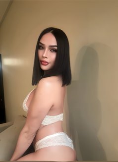 Nadir Trans Thai πΉππΈπ¦ - Transsexual escort in Dammam Photo 23 of 23