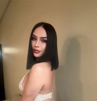 Nadir Trans Thai 🇹🇭🇸🇦 - Transsexual escort in Dammam